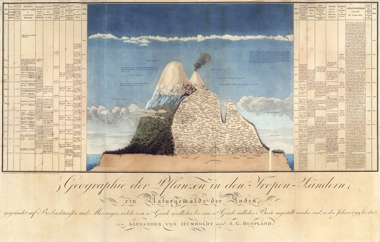 Tropik Ülkelerdeki Bitkilerin Coğrafyası, And Dağları Üzerine Bir Araştırma, Schoenberger und Turpin tarafından çizildi, Langlois, Paris tarafından basıldı by Baron Friedrich Alexander von Humboldt