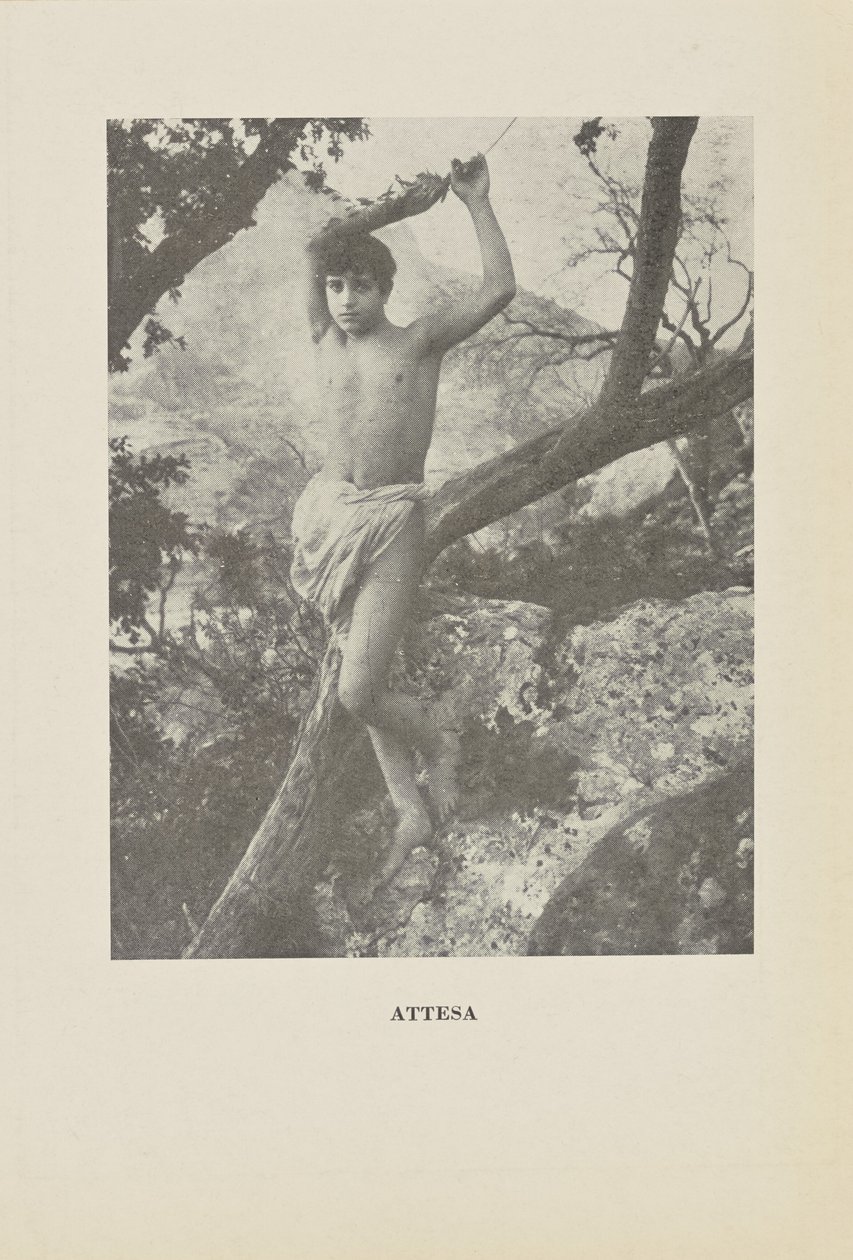  by Baron Wilhelm von Gloeden