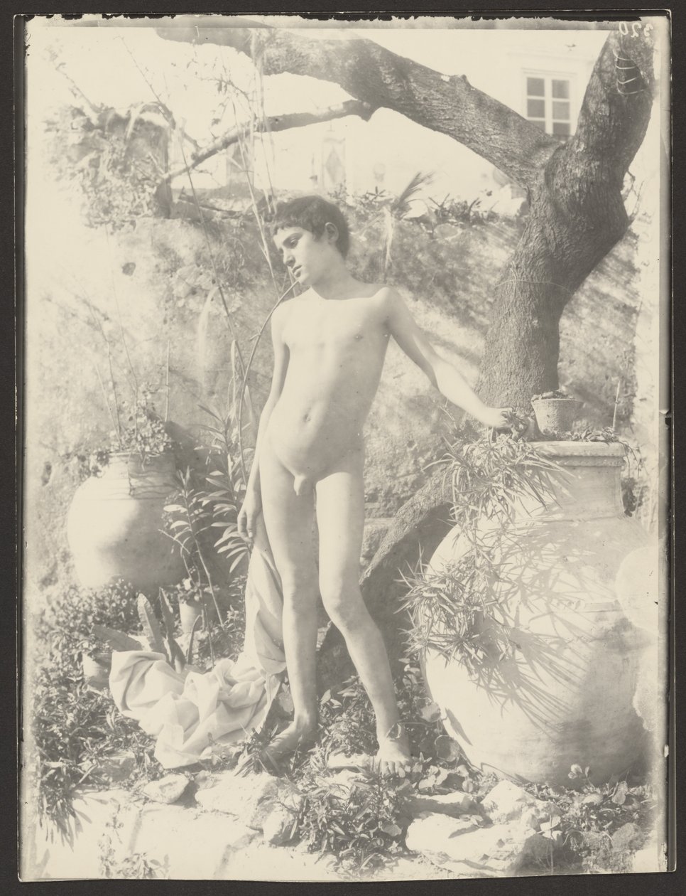  by Baron Wilhelm von Gloeden