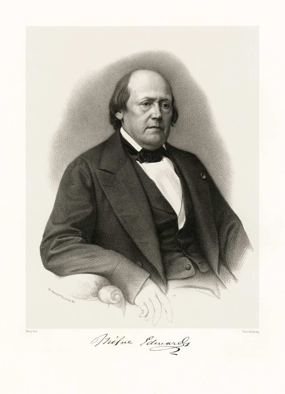 Henri Milne Edwards, 1865-66 by Barry