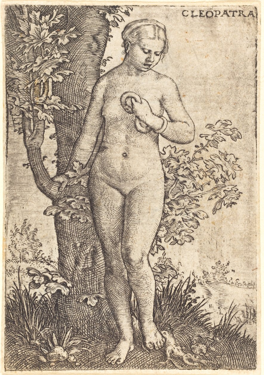 Kleopatra by Barthel Beham
