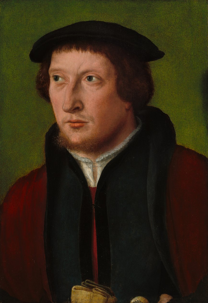 Bir Adamın Portresi, c. 15301540. by Bartholomaeus Bruyn the Elder