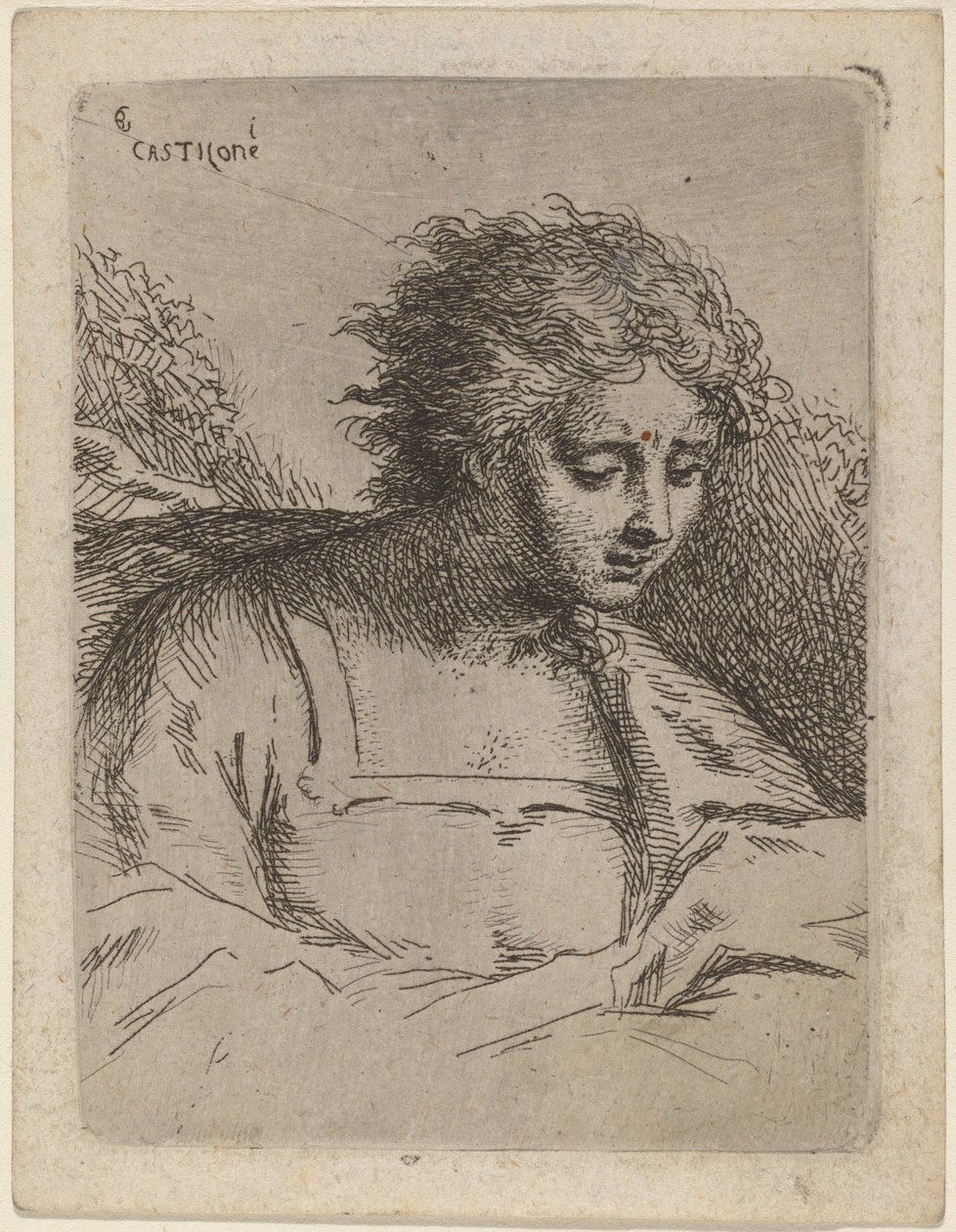 Yarım Boy Şekil Okuma by Bartholomäus Ignaz Weiss