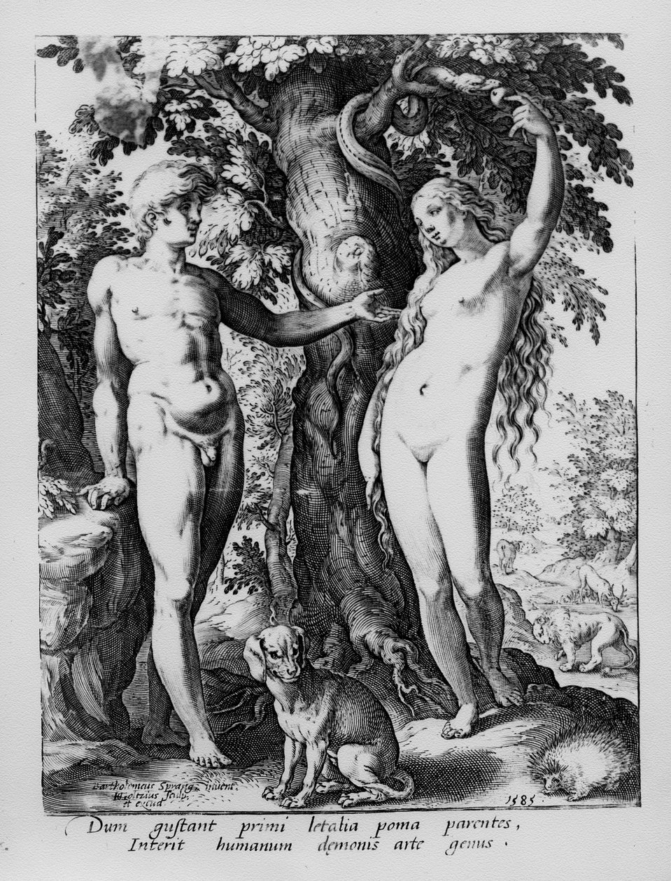Adem ve Havva, Hendrik Goltzius tarafından kazınmış, 1585 by Bartholomaeus Spranger