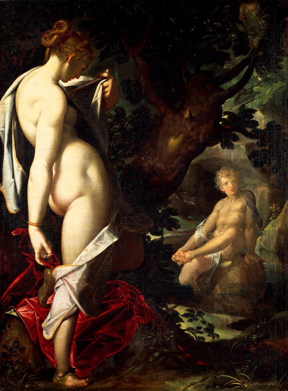 Bartholomaeus Spranger (1546-1611) tarafından Hermaphroditus ve Salamace by Bartholomaeus Spranger