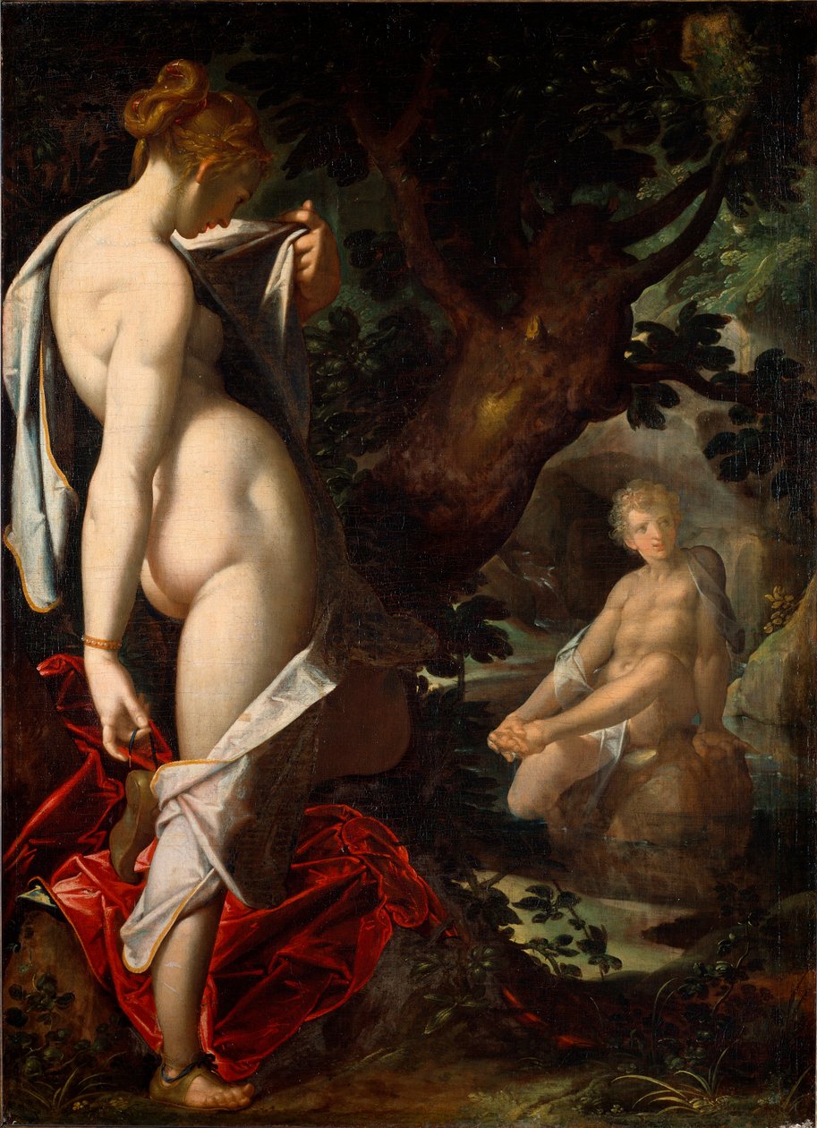 Bir baharda Hermafrodit banyosuna hayran olan Naiad Salmacis (Resim by Bartholomaeus Spranger