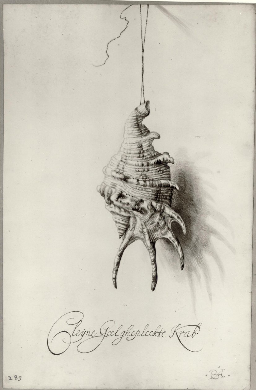  by Bartholomeus Assteyn