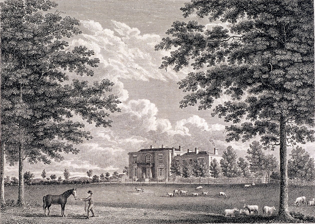 Brockwell Salonu, Herne Tepesi, Lambeth, Londra, 1820 by Bartholomew Howlett