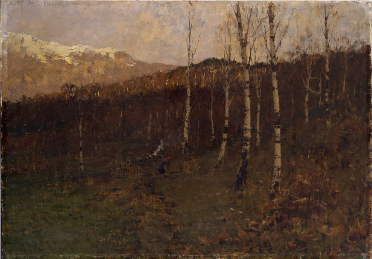 baltalık huş ağacı ormanı by Bartolomeo Bezzi