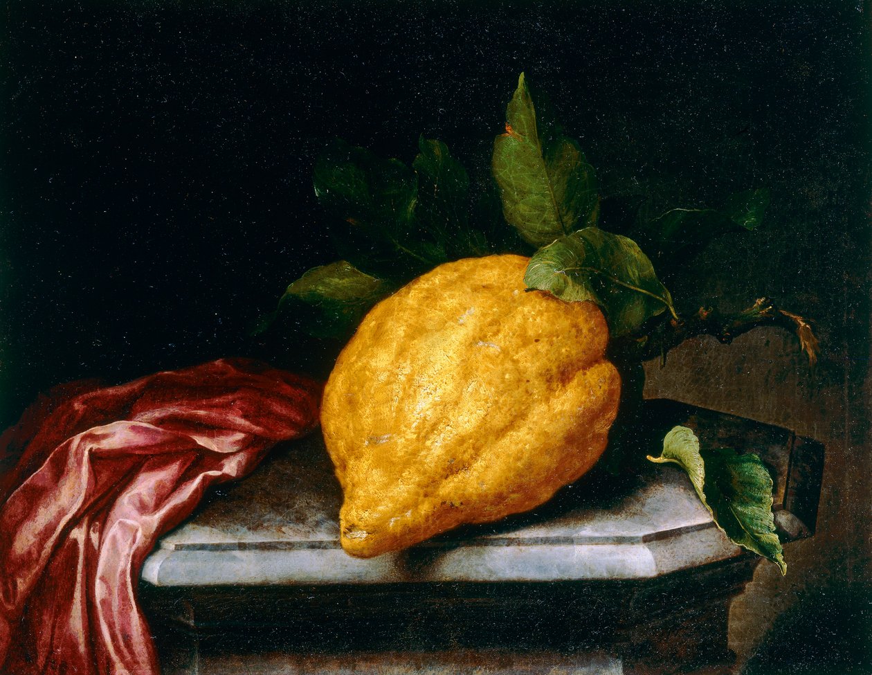 ağaç kavunu by Bartolomeo Bimbi