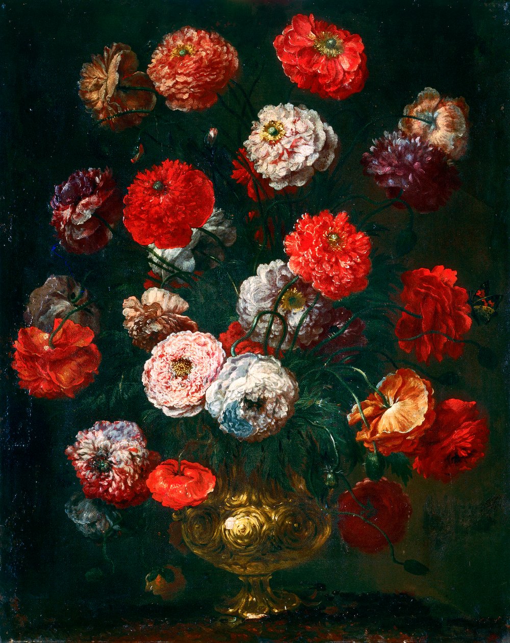 mısır haşhaş by Bartolomeo Bimbi
