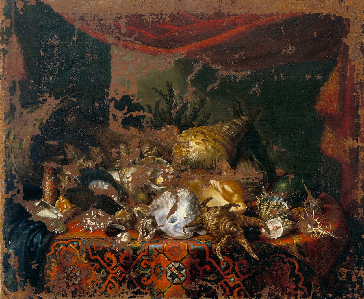 Kabuklar by Bartolomeo Bimbi