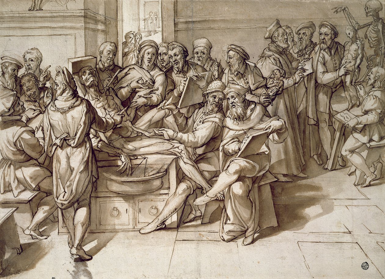 Anatomi Dersi (kalem ve mürekkep) by Bartolomeo Passarotti