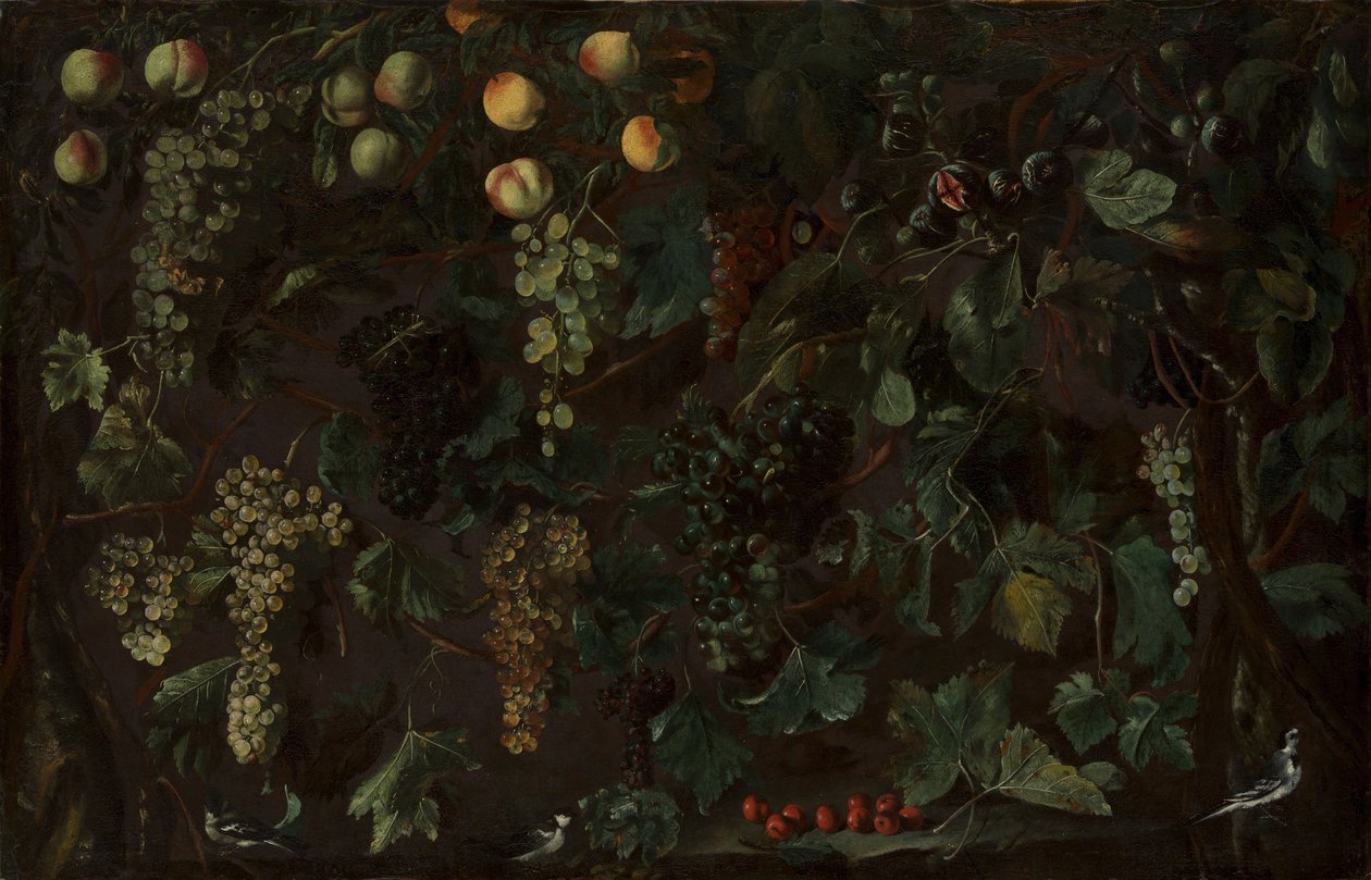 Üzüm Asmaları ve Meyveleri, Üç Kuyruklu Kuyruklu, ca. 1615-18. by Bartolomeo Cavarozzi