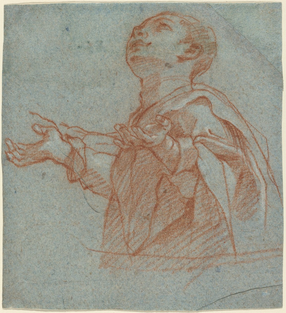 Hayranlıkla Yukarıya Bakan Bir Çocuk by Bartolomeo Cesi