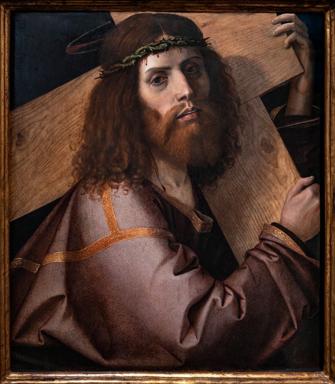 Haçı taşıyan İsa, ilk on yıl 16. yüzyıl (panelde yağlı boya) by Bartolomeo Montagna