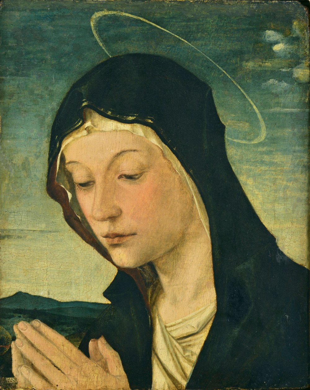  by Bartolomeo Montagna