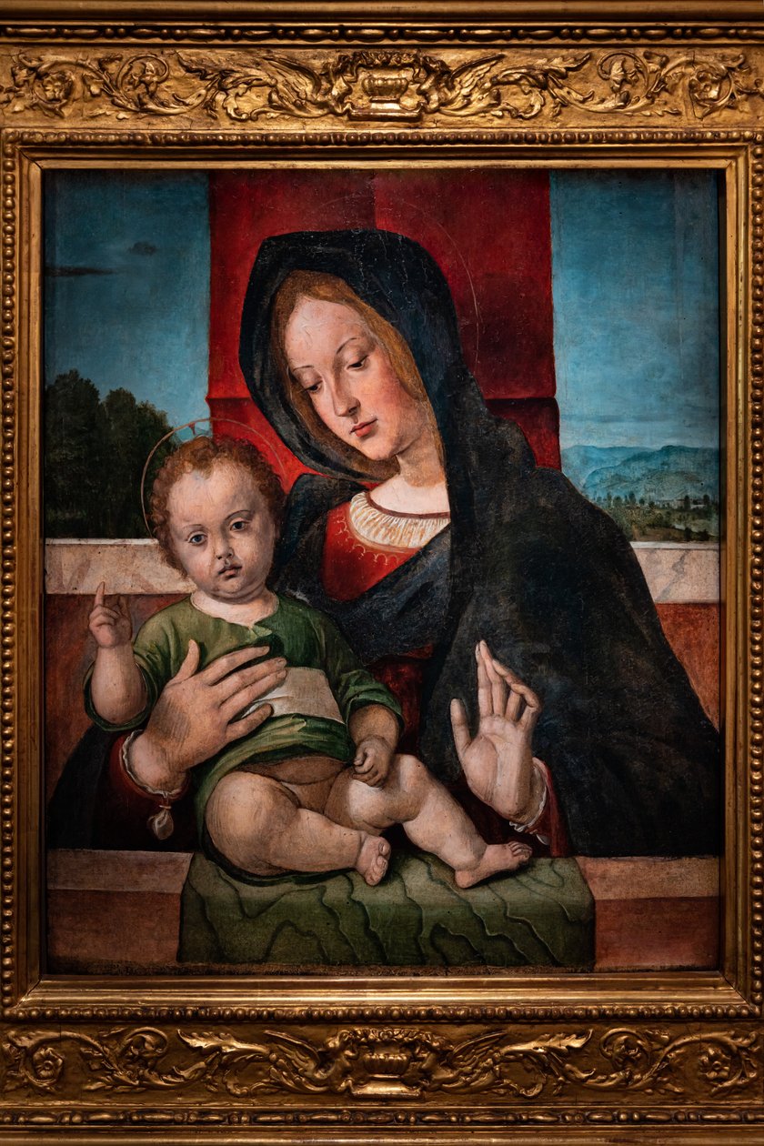 Bebek İsa ile Madonna, 15. yüzyılın son on yılı (panelde yağlı boya) by Bartolomeo Montagna