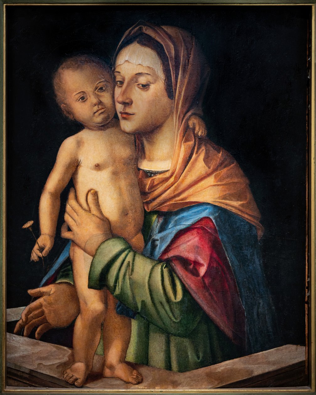 Bebek İsa'nın bir korkuluk üzerinde durduğu Madonna, 16. yüzyıldan başlayarak (panelde yağlı boya) by Bartolomeo Montagna
