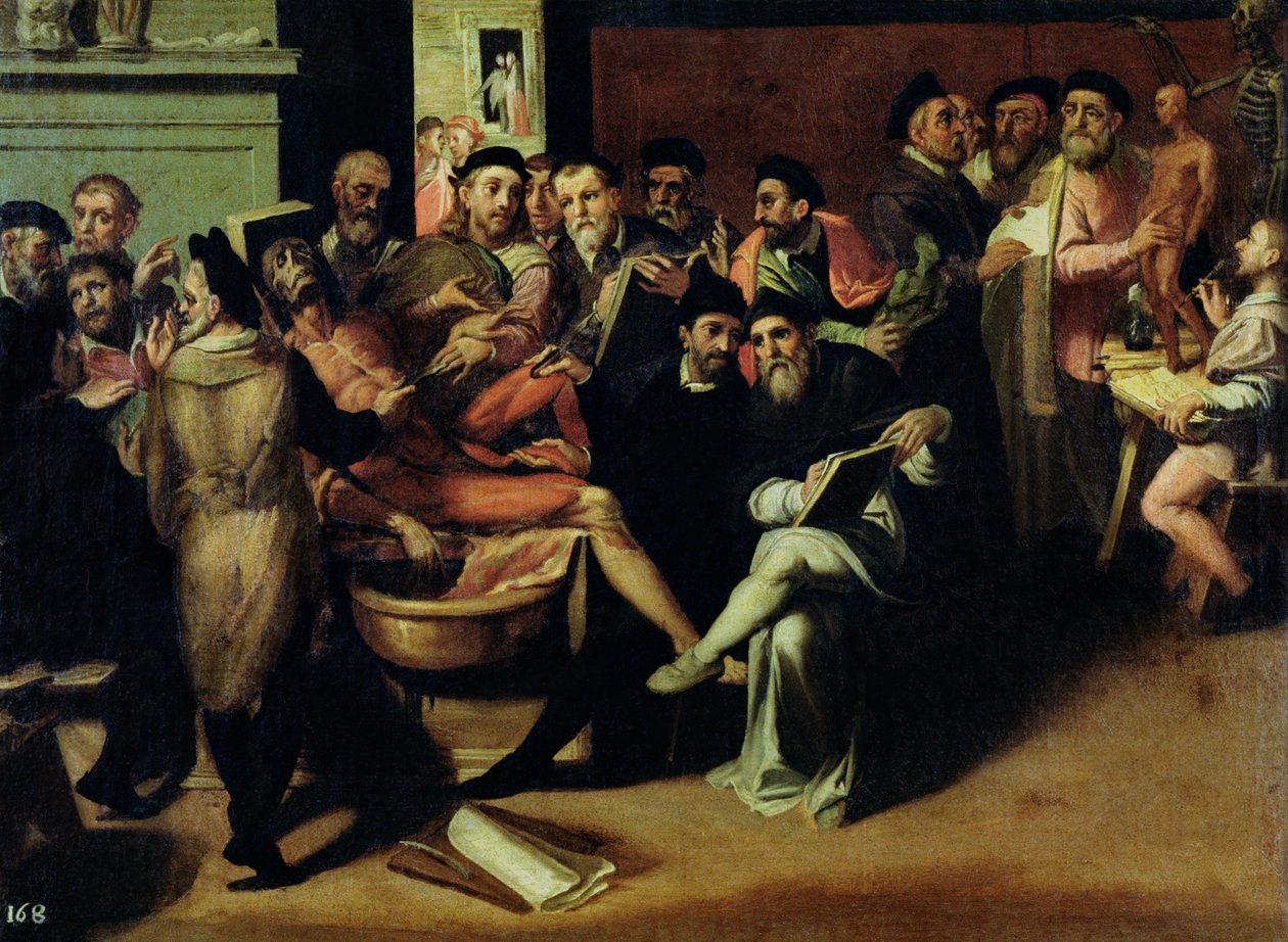 Sanatçılar için Anatomi Dersi by Bartolomeo Passarotti