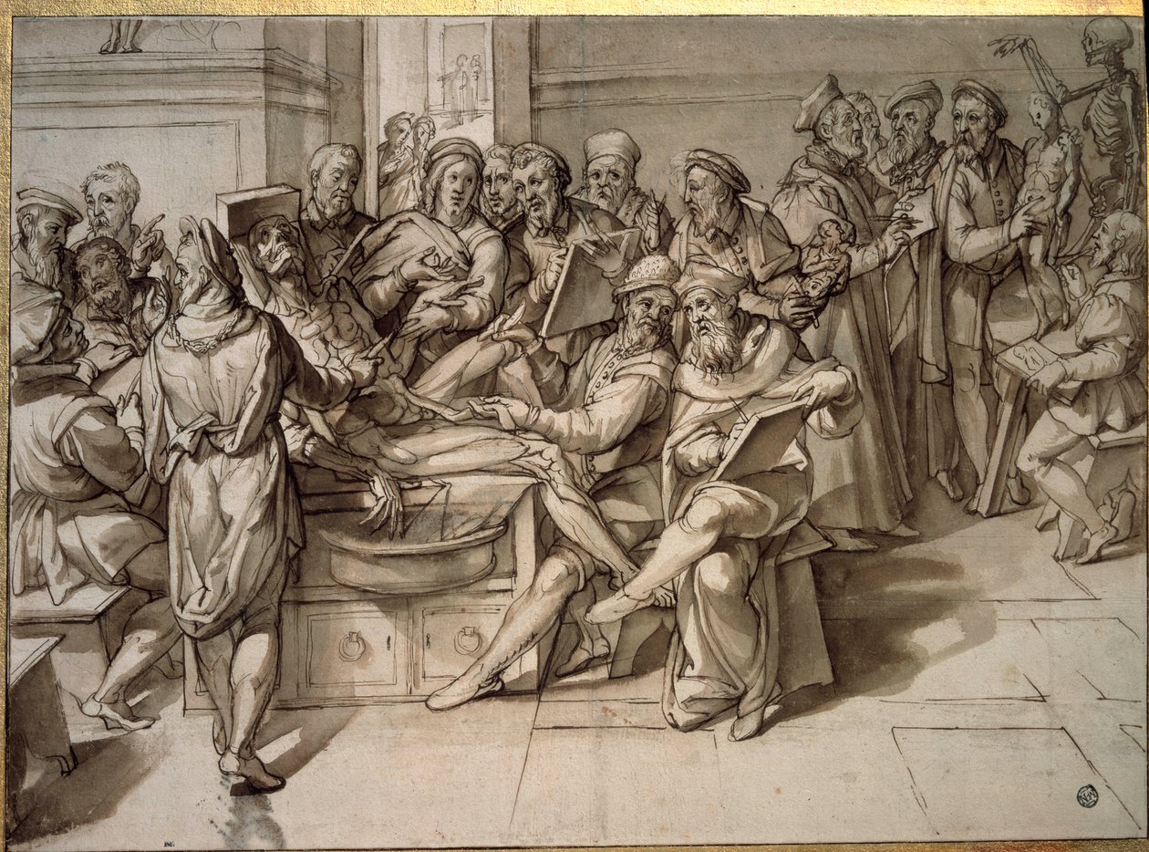 Michelangelo Buonarroti dit Michelangelo (Michelangelo veya Michel Ange) tarafından verilen anatomi dersi by Bartolomeo Passarotti