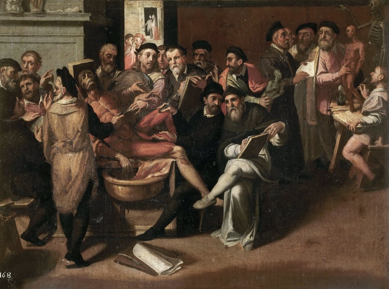 Passerotti