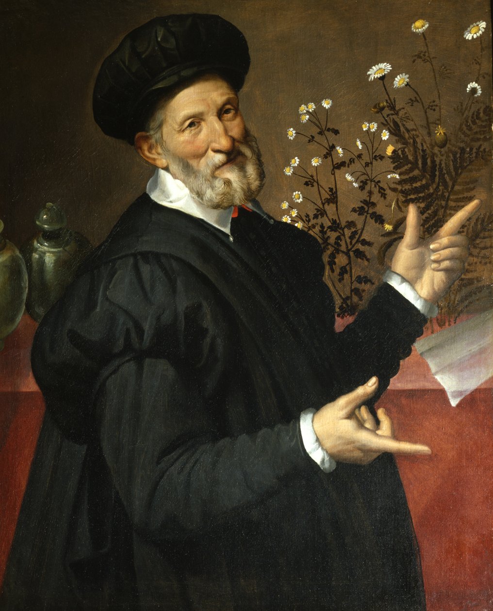 Botanikçi by Bartolommeo Passerotti