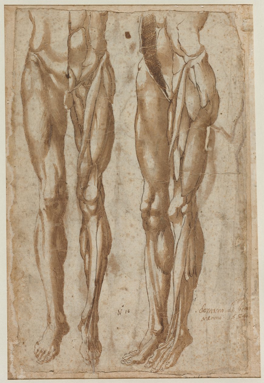 Derisi Yüzülmüş Bir Adamın İki Çalışması (rekto) by Bartolommeo da Arezzo
