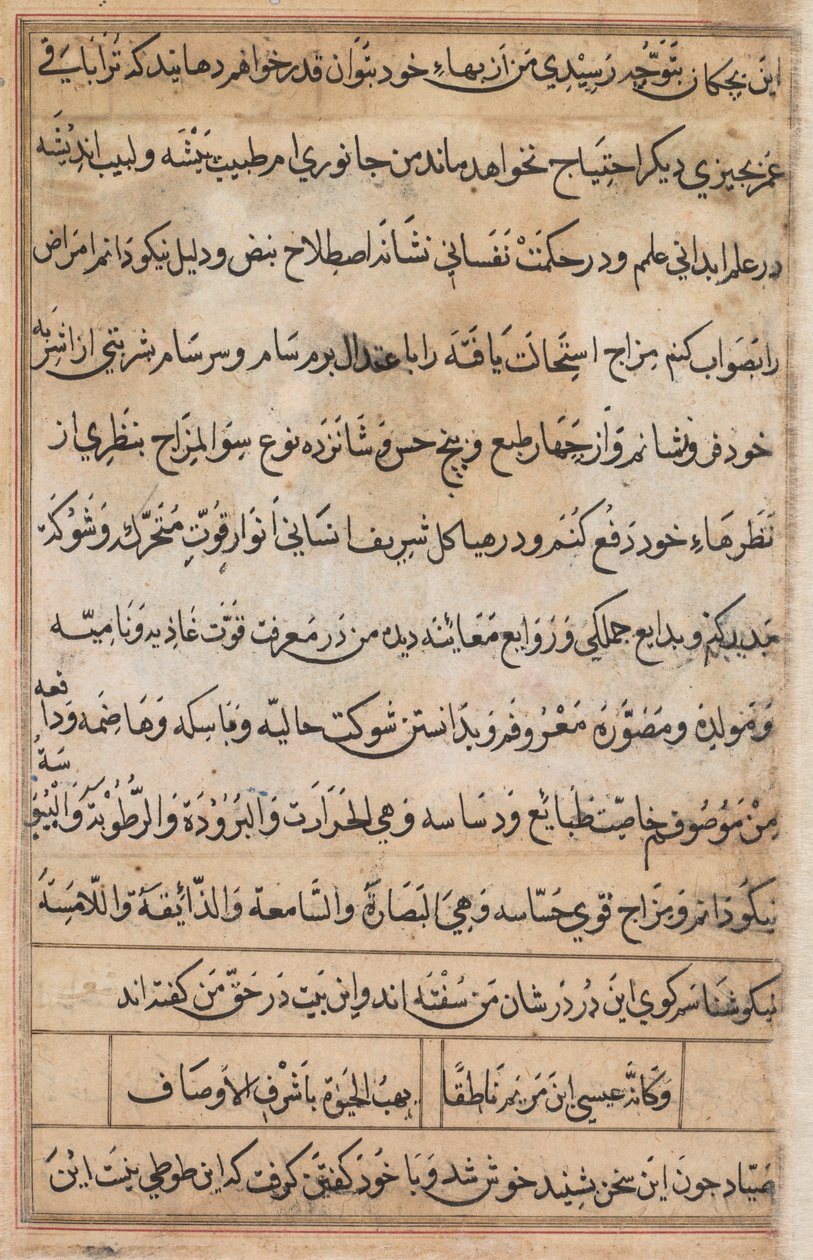Bir Papağan Tuti-nama Masallarından sayfa: metin sayfası, yaklaşık 1560. by Basavana