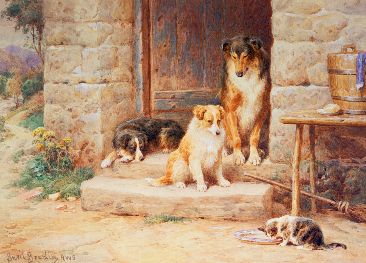 Yaşa ve yaşat by Basil Bradley