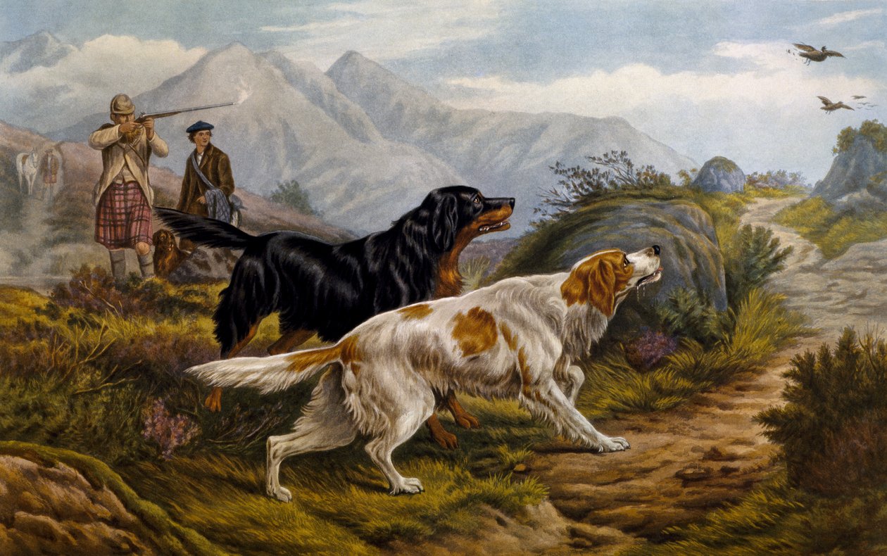 Orman tavuğu avı by Basil Bradley
