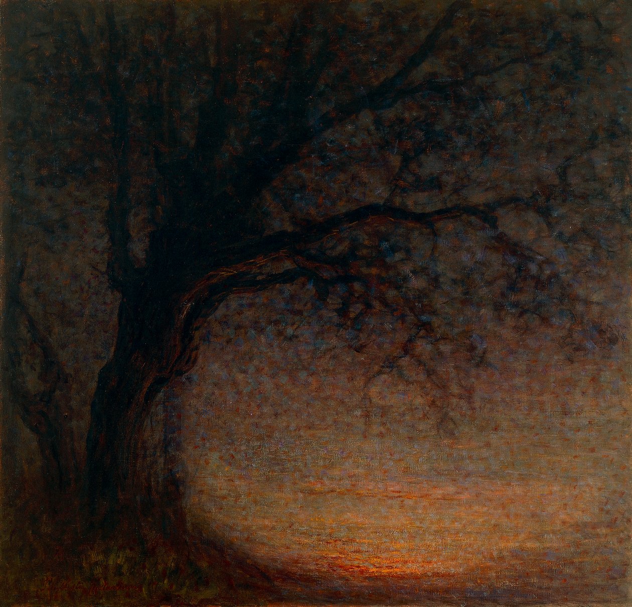Ölü Ağaç by Battista Constantini