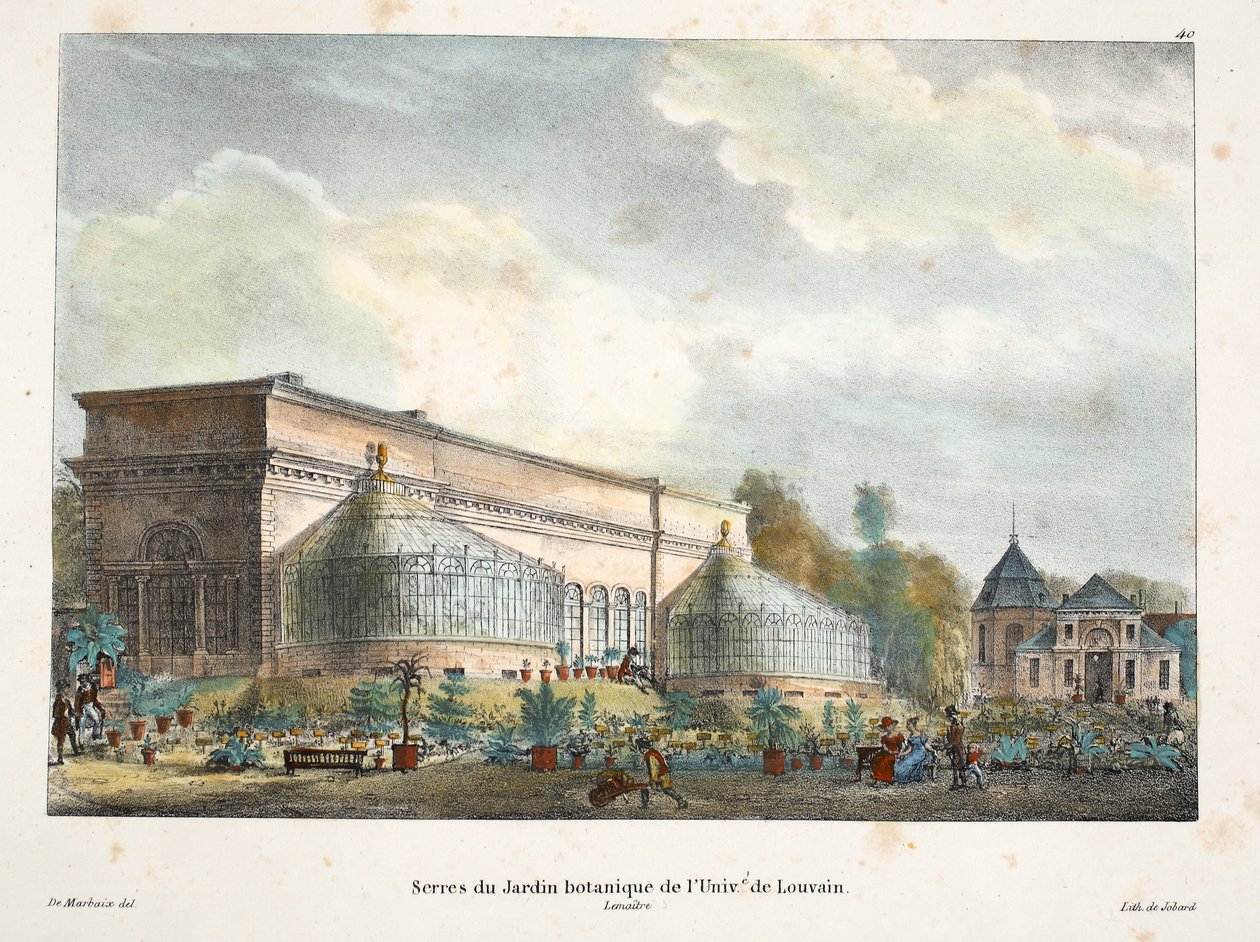 Univ de Louvain Botanik Bahçesi Seraları, 1895 dolayları (fotokrom) by Belgian School
