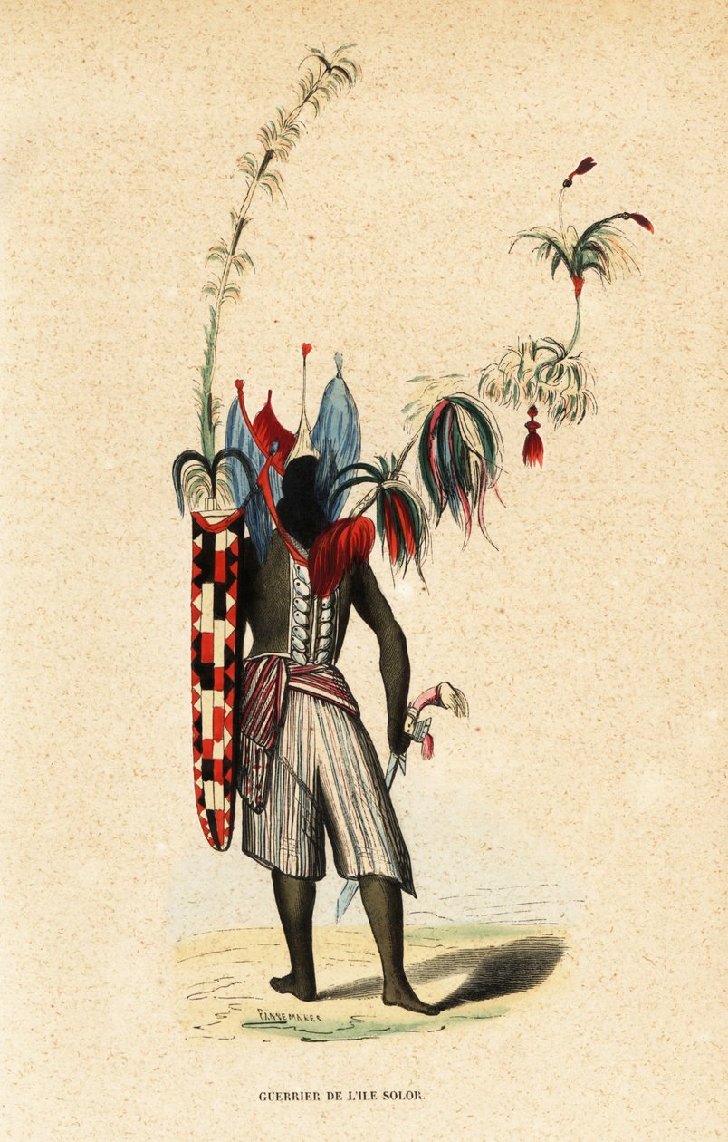 Solor Adası Savaşçısı, Küçük Sunda Adaları, Endonezya by Belgian School