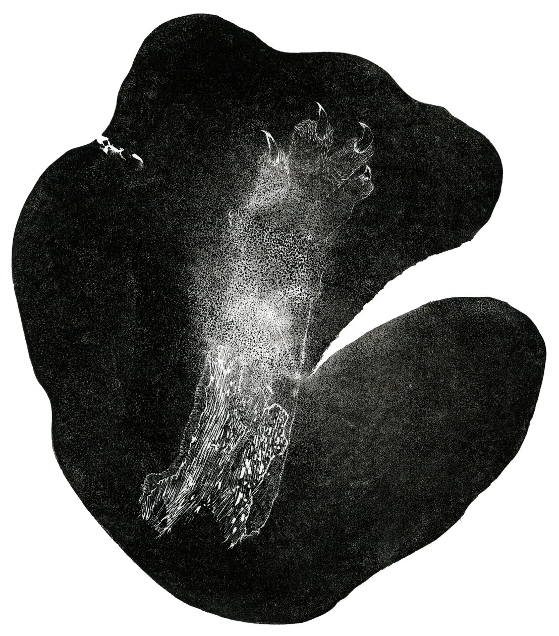 Clawfoot, 2014 (kağıt üzerine ahşap gravür) by Bella Larsson