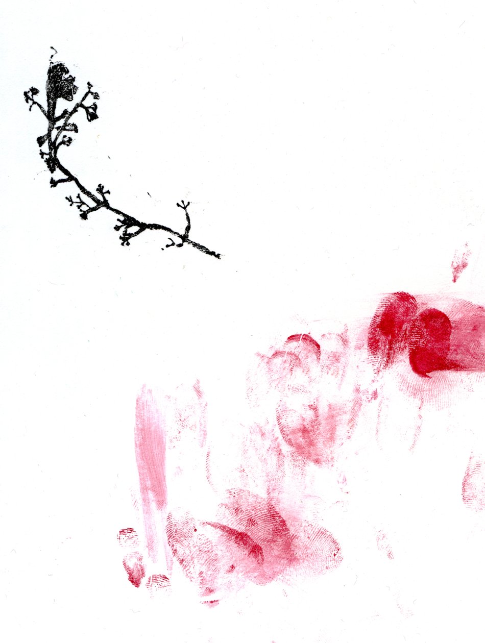 Liken {Fay-erie Dust}, 2014 (ahşap gravür ve kağıt üzerine sulu boya) by Bella Larsson