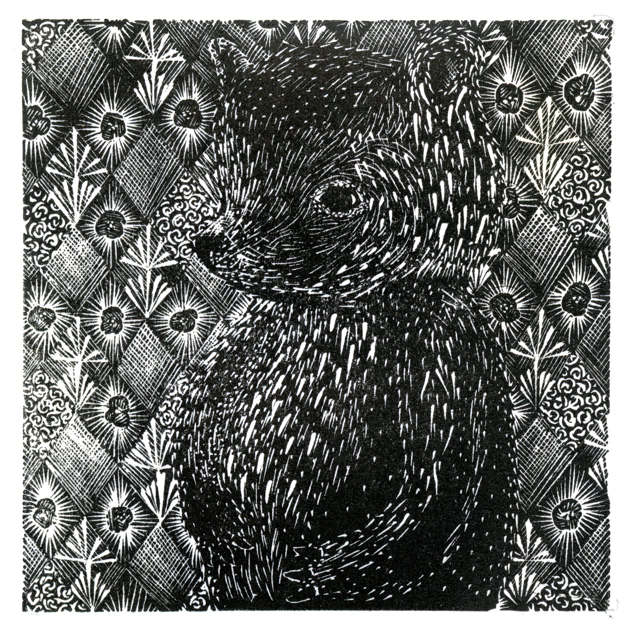 Ursus arctos ssp. domesticus, 2013 (kağıt üzerine ahşap gravür) by Bella Larsson
