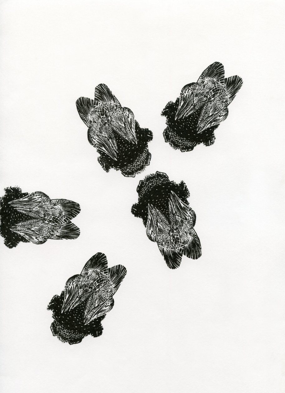 Bombus Arıları Buluşması, 2013 (kağıt üzerine ahşap gravür) by Bella Larsson