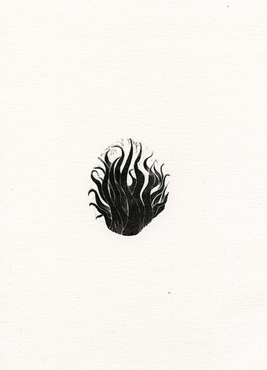 Ateş, 2017, (kağıt üzerine ahşap gravür) by Bella Larsson