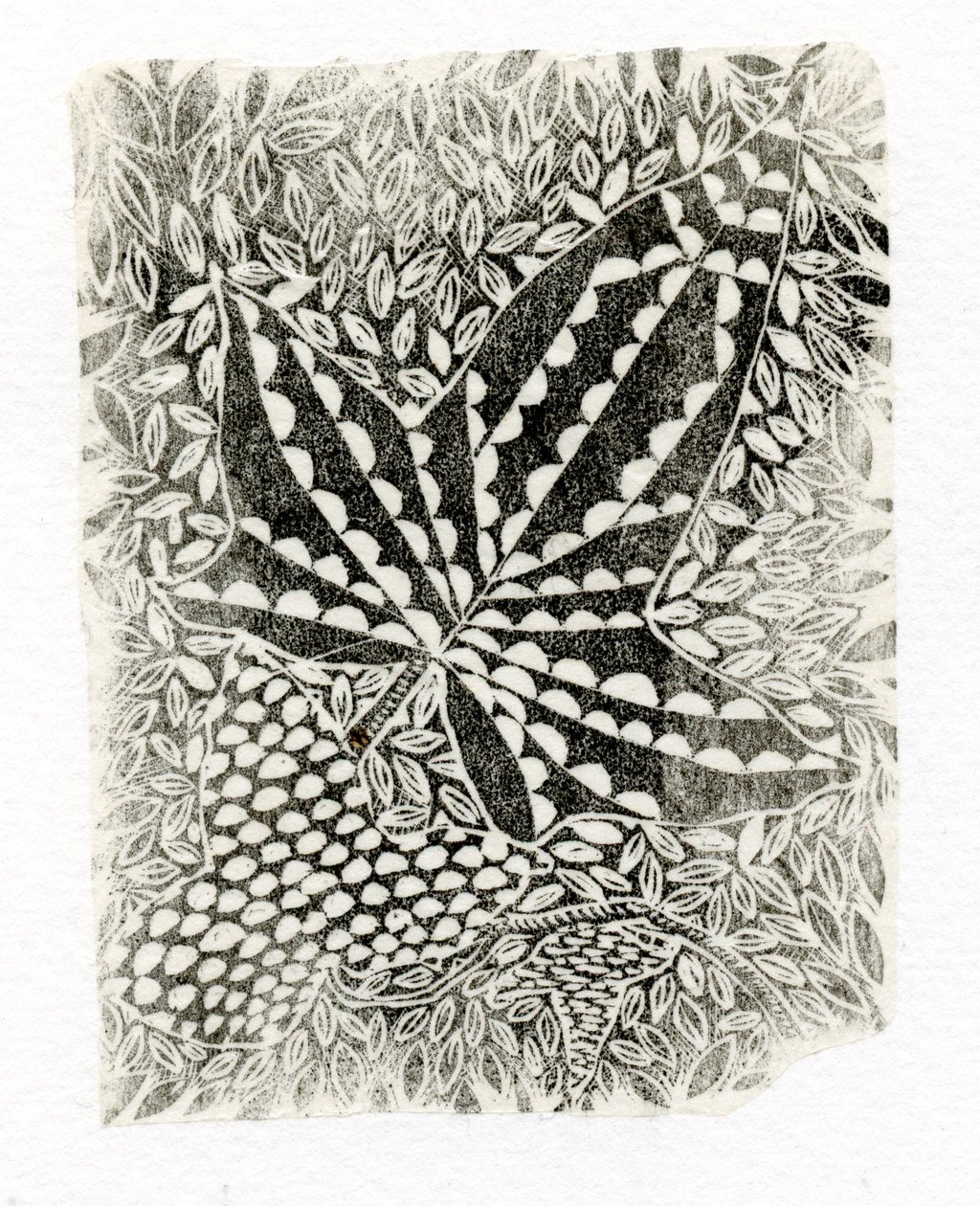 Ivy, 2014, (kağıt üzerine ahşap gravür) by Bella Larsson