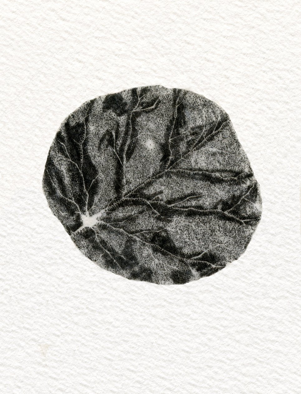 Yaprak, 2014, (kağıt üzerine ahşap gravür) by Bella Larsson