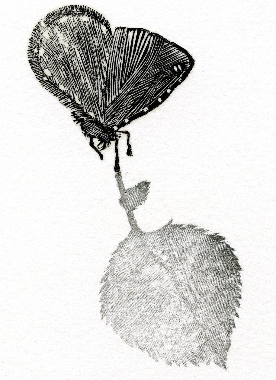 Gerilim, 2014 (Ahşap gravür, kağıt üzerine kolaj) by Bella Larsson