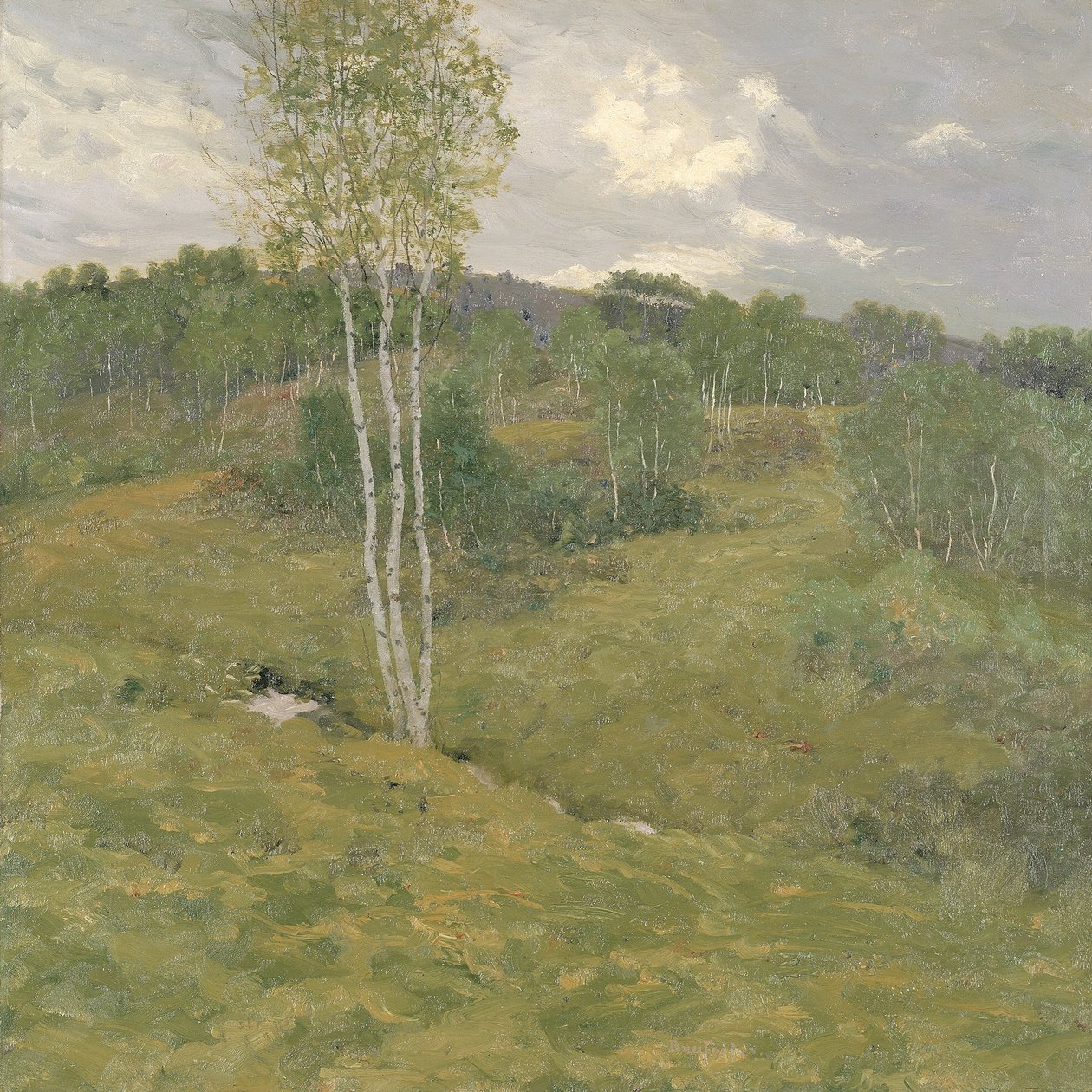 Birch-Clad Hills, ca. 1908. by Ben Foster