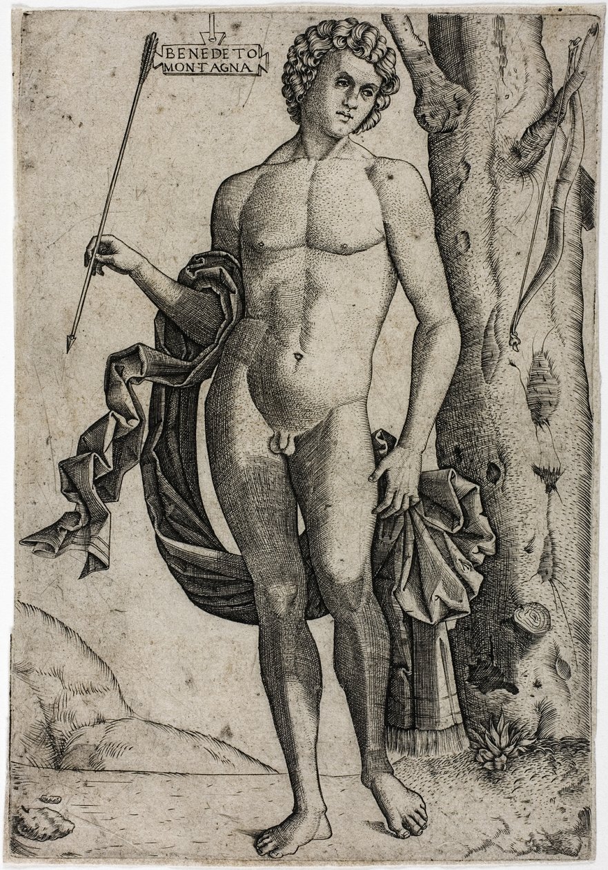 Oklu genç bir adam by Benedetto Montagna