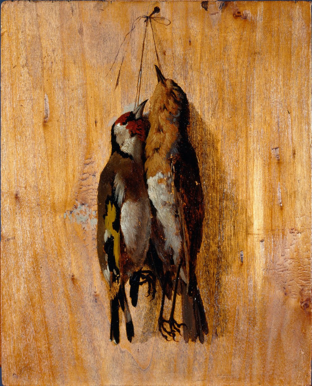 Doğadan sonra çalışma Duvarda iki ölü kuş iğnesi. Benedetto Musso (1835-1883) tarafından 1864 dolaylarında Sun tablosu. 20,5x16,5 cm genler, Galleria d