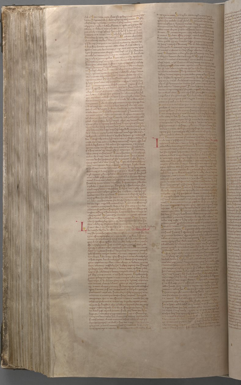 Kodeks Gigas by Benedictine monastery of Podlažice