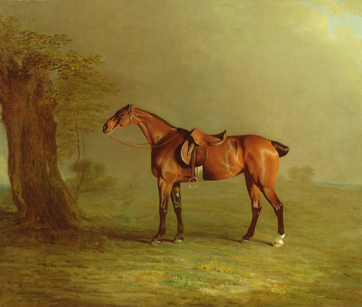 Racehorse  by Benjamin Marshall