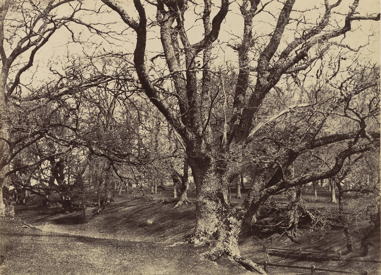 Pepperharrow Parkı, Surrey, 1852-54. by Benjamin Brecknell Turner