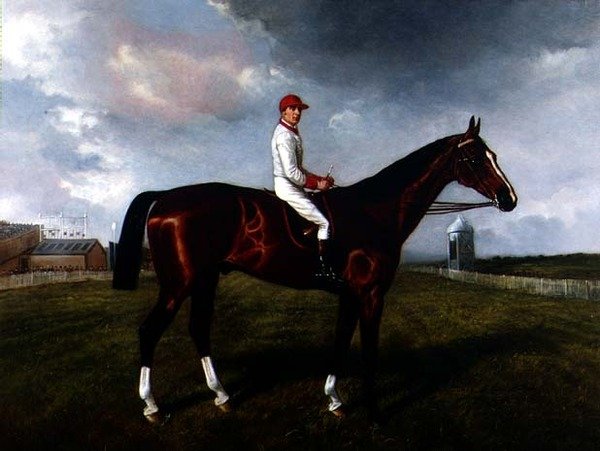 Newmarket
