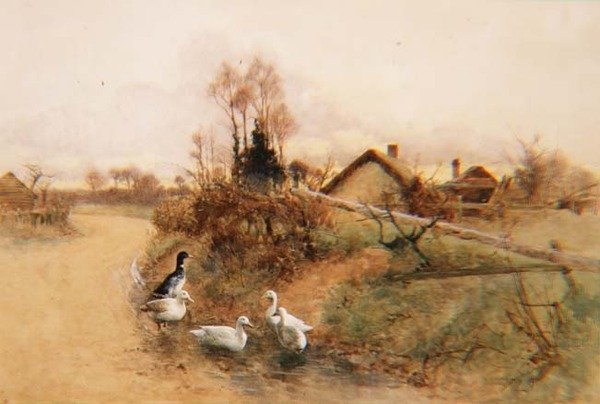 uğraşan ördekler by Benjamin D. Sigmund